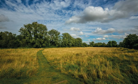 Millennium Green, Shefford